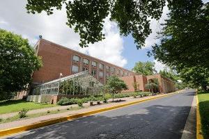 The College of Science, Technology, and Health Welcomes New Faculty